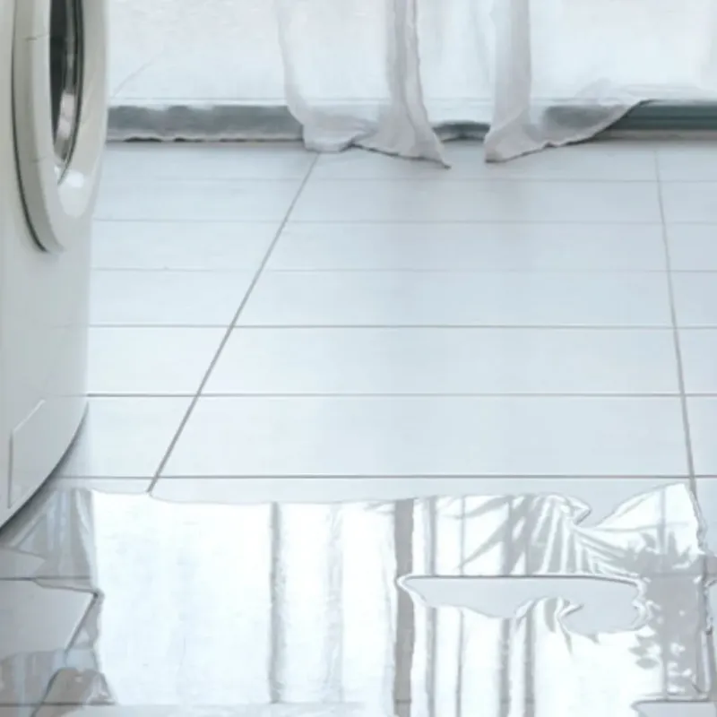 Appliance Leak Cleanup in Stevens County, KS