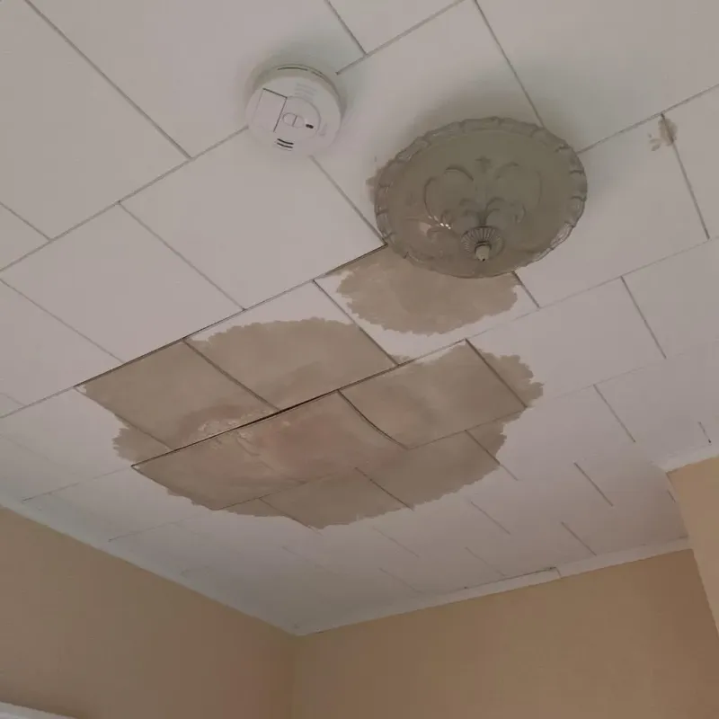 Ceiling Water Damage Repair in Stevens County, KS