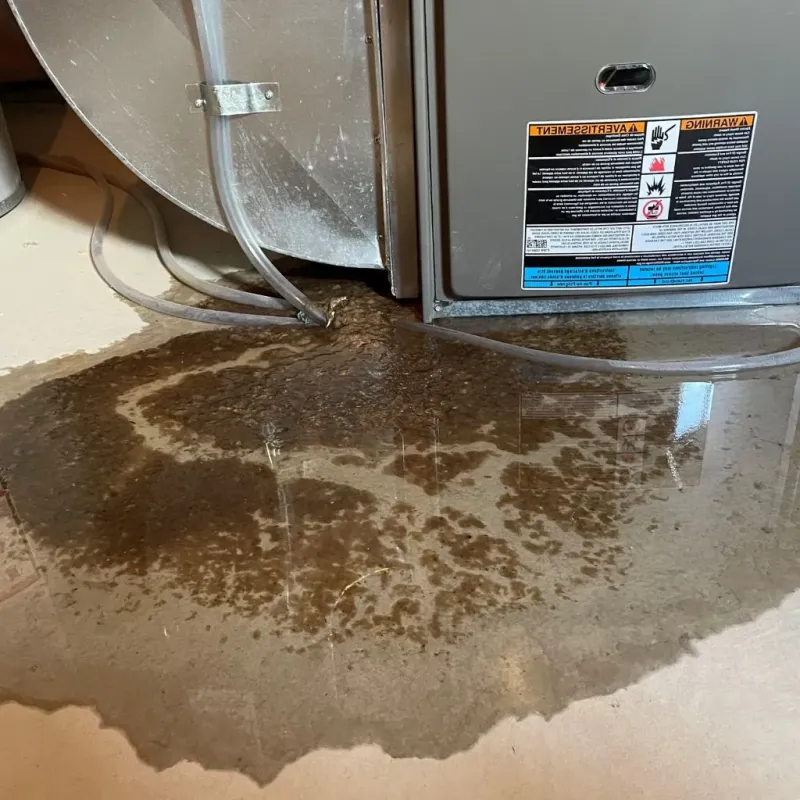 Pipe Burst and Leak Restoration in Stevens County, KS