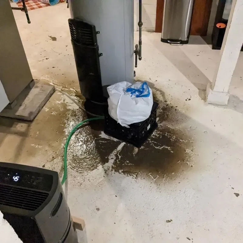 Sewage Backup Cleanup Service in Stevens County, KS